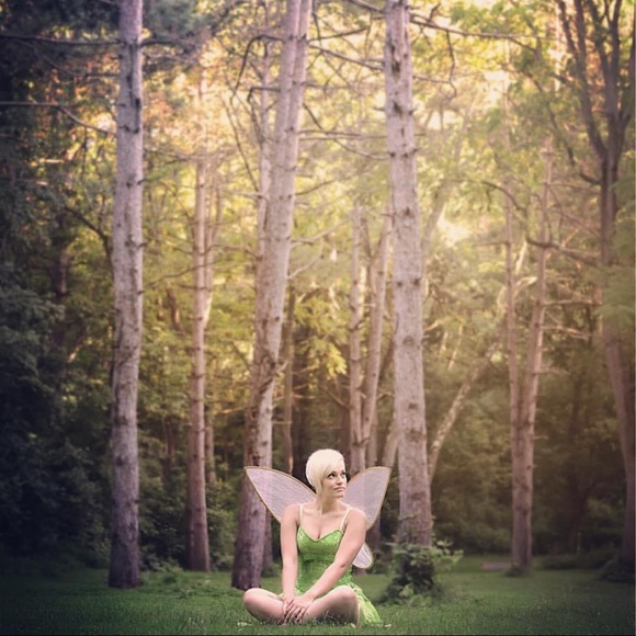 SOLD Tinkerbell Costume - Picture 3 of 3